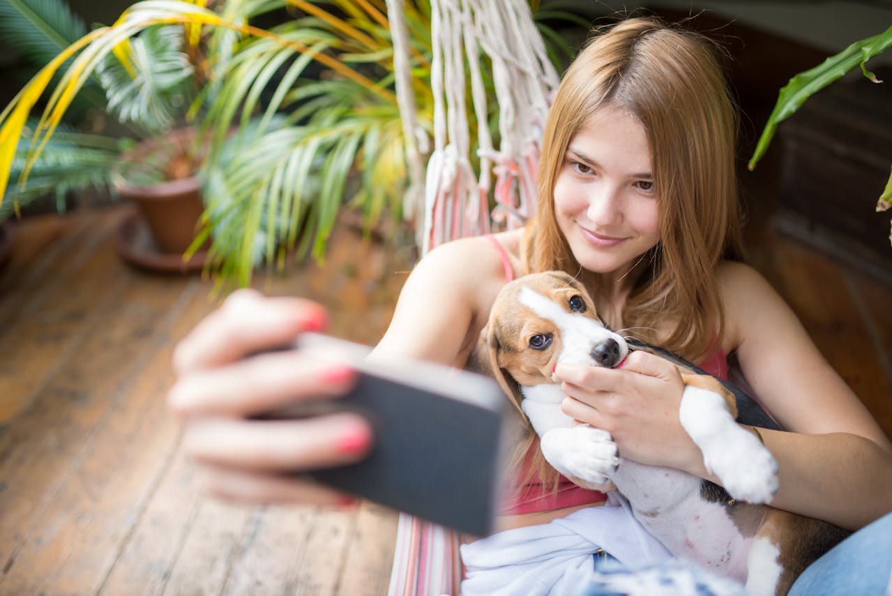 Why Beagles Make Great Family Pets
