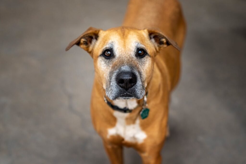 Vaccination Myths and Facts You Need to Know