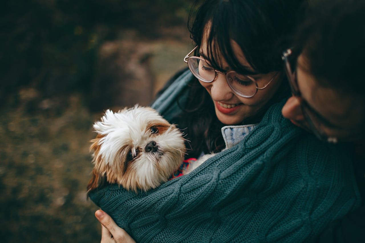 The Silent Killer: High Blood Pressure in Pets