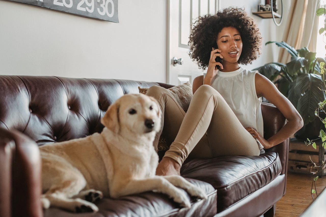 How to Prevent Urinary Tract Infections in Pets