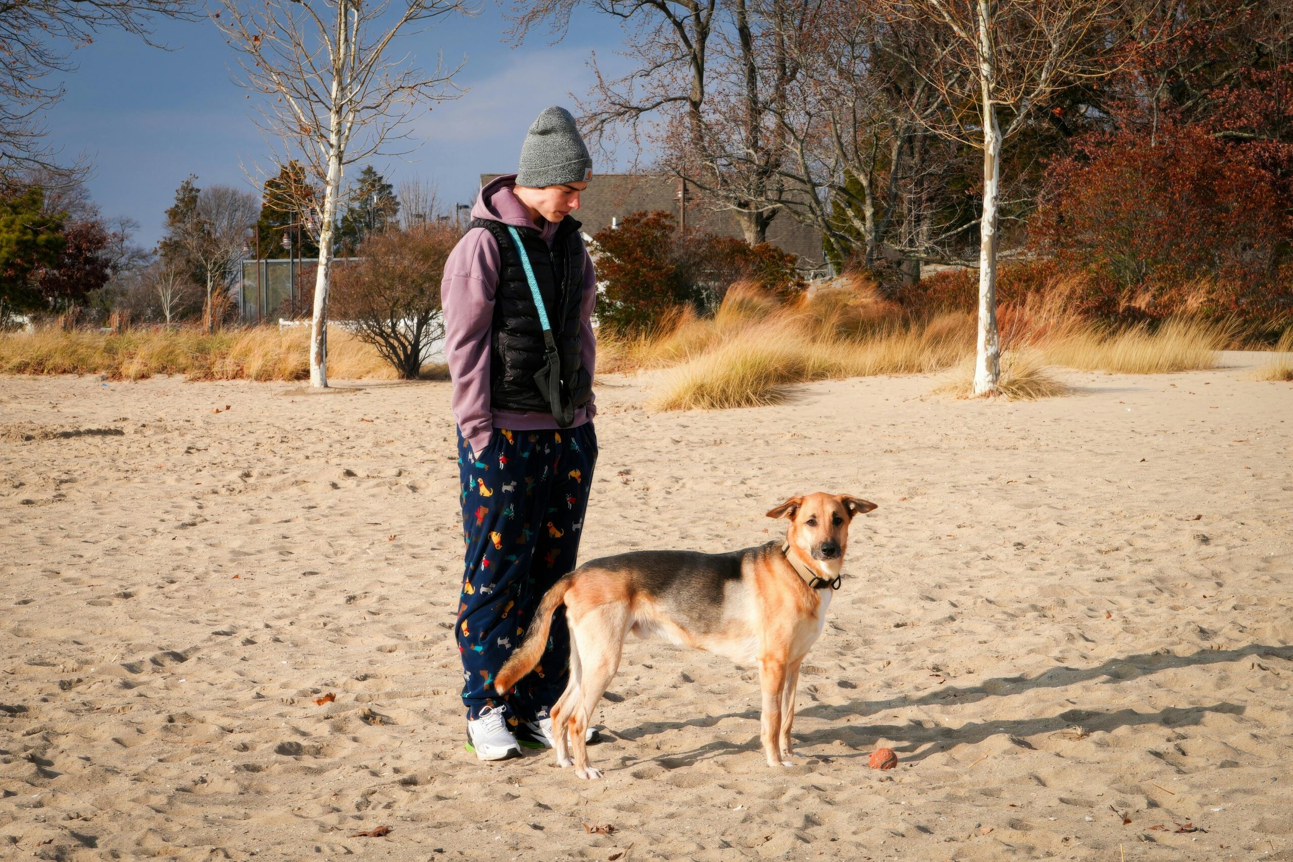 Microchipping Myths Debunked: Is Your Pet Truly Safe?